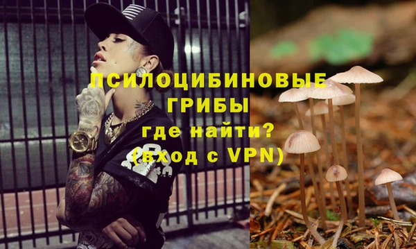 дмт Алексин