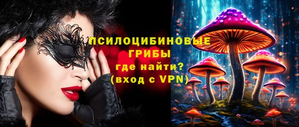 дживик Алексеевка