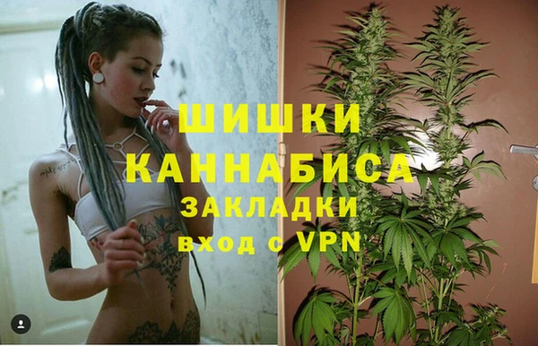 дживик Алексеевка