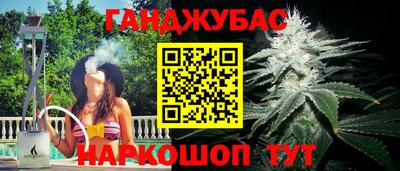 дмт Дубна
