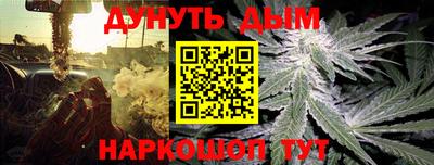 дмт Дубна