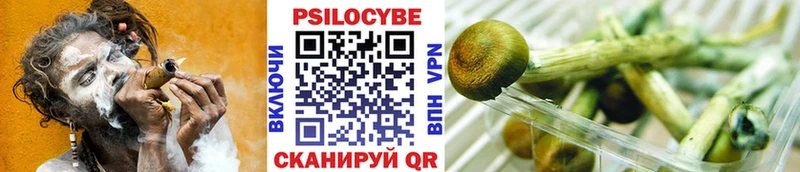 дарнет шоп  ссылка на мегу как зайти  Псилоцибиновые грибы MAGIC MUSHROOMS  Моздок 