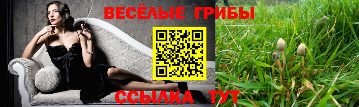 Галлюциногенные грибы Cubensis  Вход с VPN  Моздок 