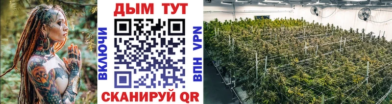 Каннабис семена Моздок